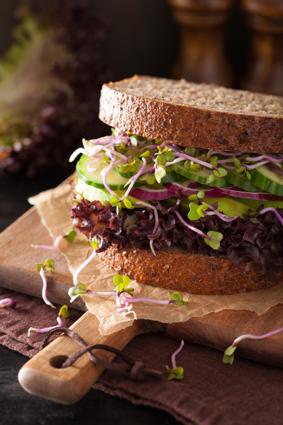 avocado cucumber sandwich with onion and radish sprouts - Photo, Image