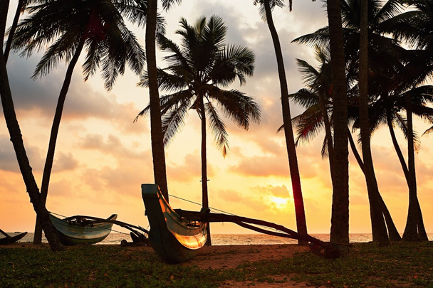 Tropikal Adası'nda gün batımını - Fotoğraf, Görsel