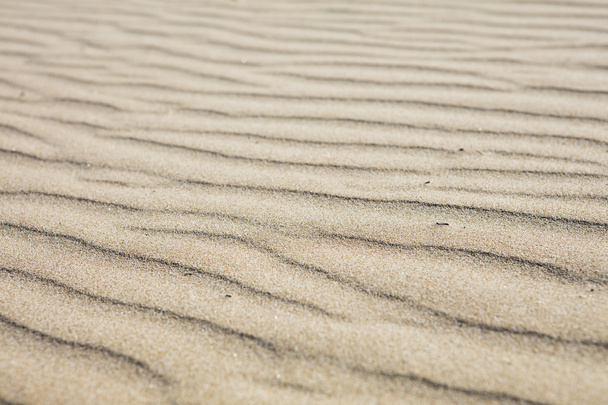 detail van micro duinen op een strand - Foto, afbeelding