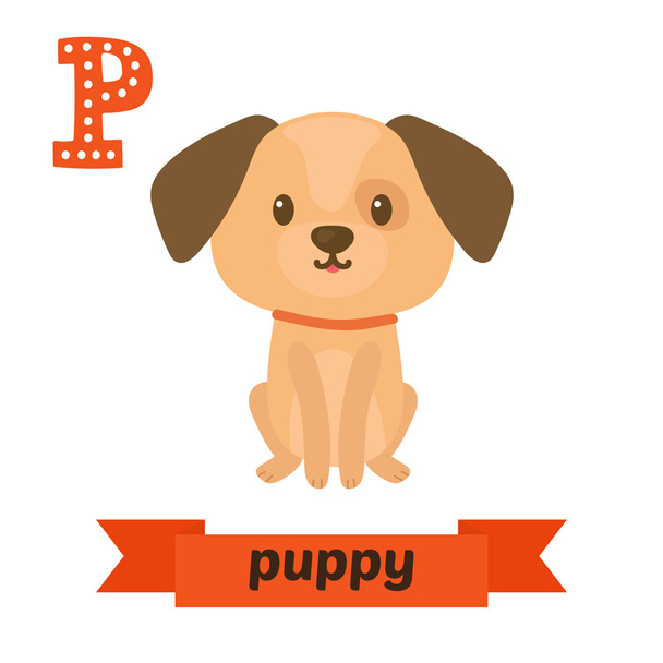 Puppy. P letter. Cute children animal alphabet in vector. Funny  - Vector, Image