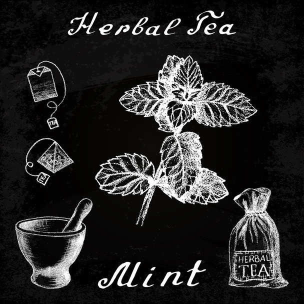 Herbal tea, mint, mortar and pestle, bag, tea bag. Chalk board. Botanical drawing. - Vector, Image