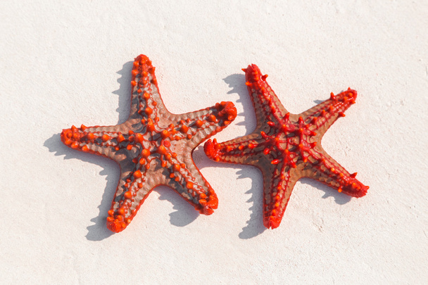 Красная звезда на песке
 - Фото, изображение