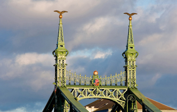 O pico da ponte Franz-Josef
 - Foto, Imagem