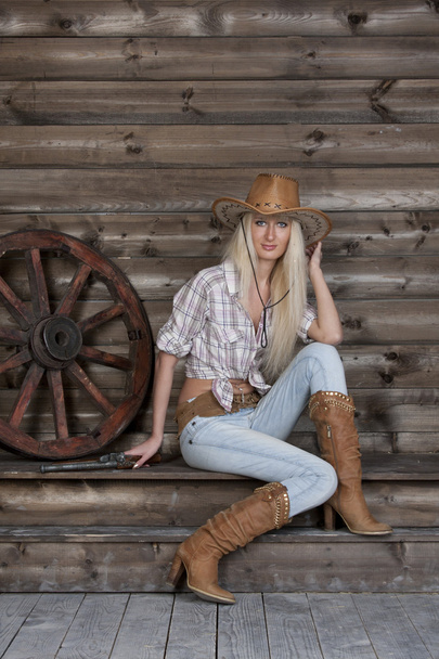 A girl in a country style - Фото, изображение