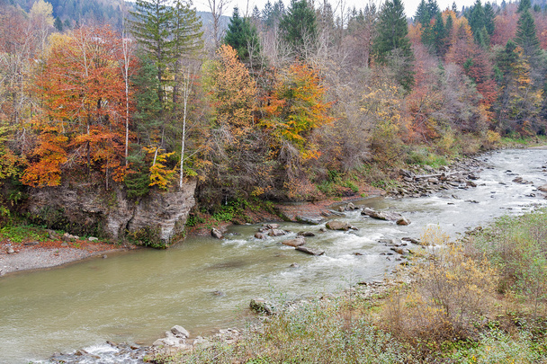 River Prut in autumn, Ukraine. - Photo, Image