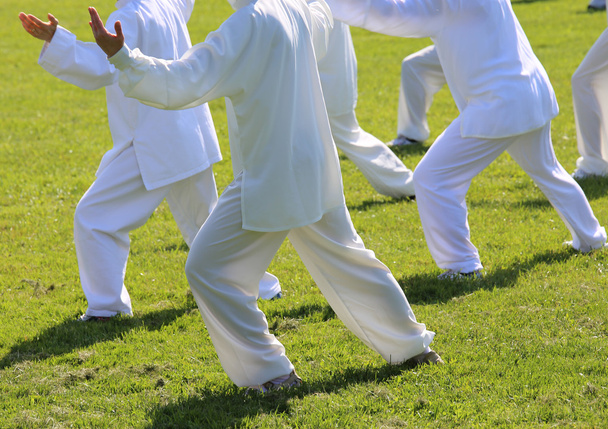 шанувальники бойових мистецтв з білим шовковим платтям під час концентрації
 - Фото, зображення