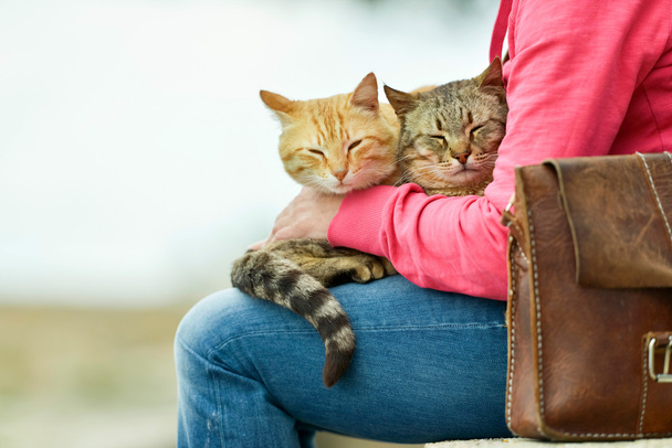 Kaksi kissaa makaa naisen sylissä.
   - Valokuva, kuva