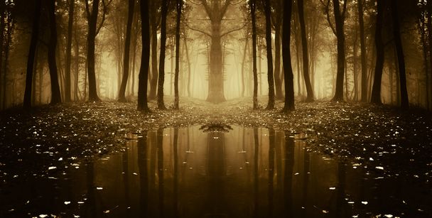 φθινόπωρο δάσος φαντασία με ομίχλη και νερό - Φωτογραφία, εικόνα