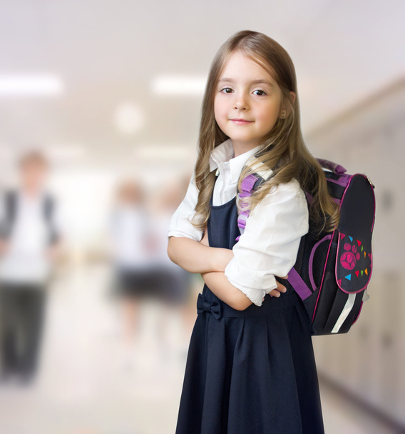 Caucasian school girl child indoors background. - Фото, зображення