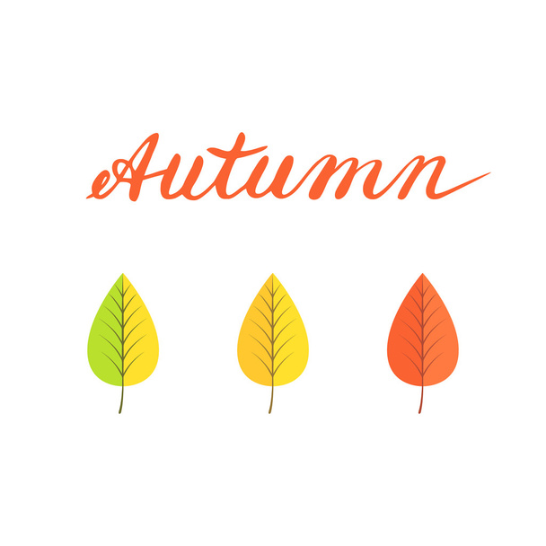 Colorful leaves word "Autumn". - Vektor, kép