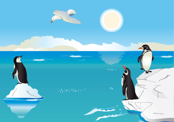Pinguine am Südpol 2 - Vektor, Bild