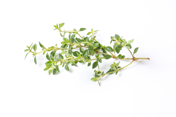 Lemon Thyme Herb - Fotó, kép