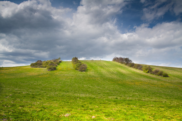groene heuvel - Foto, afbeelding