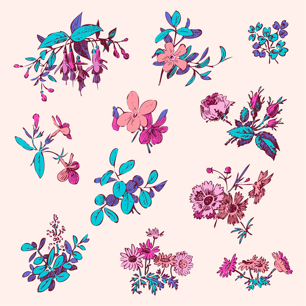 Floral bloem instellen vectorelement geïsoleerde witte doodle vintage   - Vector, afbeelding
