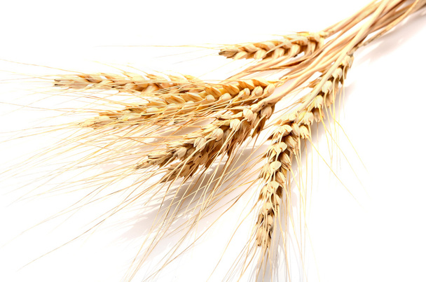 Ähren von reifem Weizen auf weißem Hintergrund. Erfolgskonzept. th - Foto, Bild