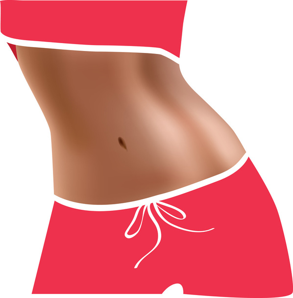 Abdominal muscles. Slim waist. Belly closeup. - Vector, Image
