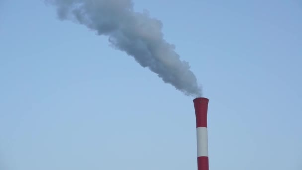 Zanieczyszczenia z komina dym - Materiał filmowy, wideo
