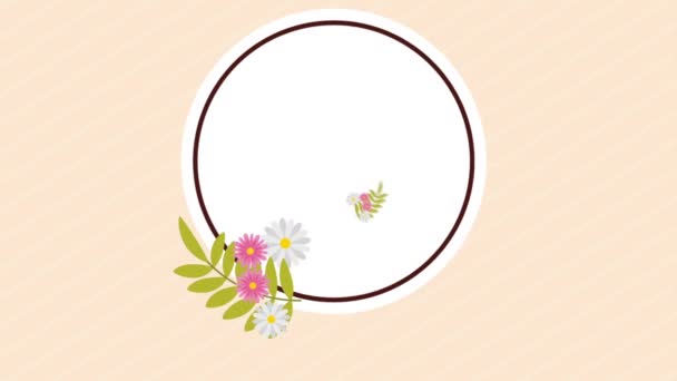diseño de decoración floral
 - Metraje, vídeo