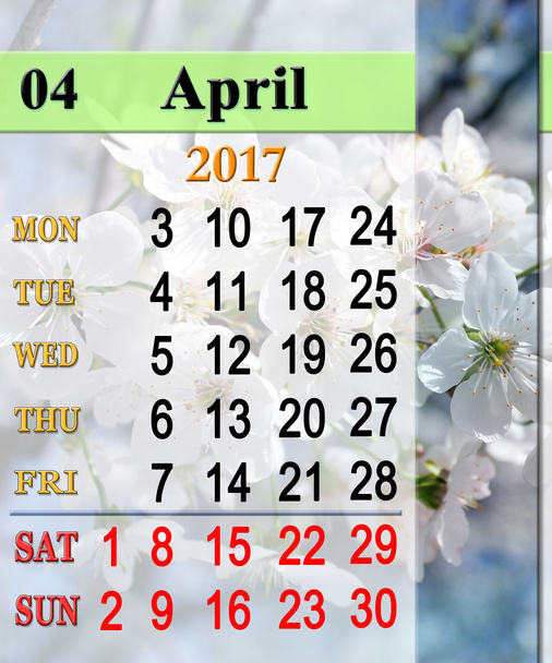calendar for April 2017 with blooming cherry tree - Photo, Image