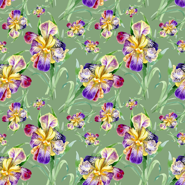 Seamless pattern with iris - Zdjęcie, obraz