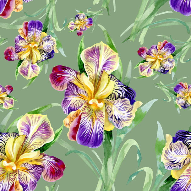 Seamless pattern with iris - Foto, afbeelding