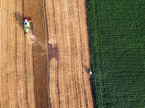 Aerial view of combine on harvest field - Photo, Image