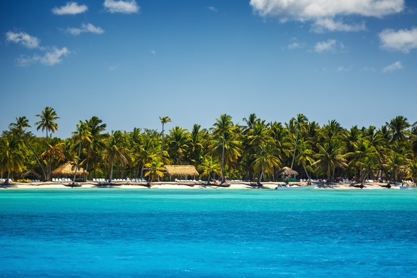 Пальми на тропічному пляжі
 - Фото, зображення
