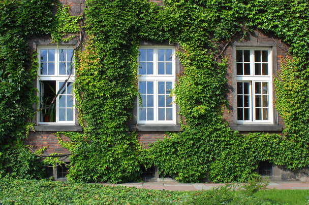 Три вікна на перевернутій стіні
 - Фото, зображення