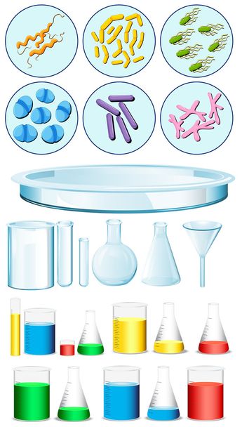 Conjunto de contenedores científicos y bacterias en bandeja
 - Vector, imagen