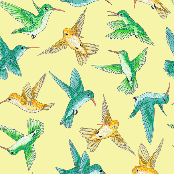 vector sin fisuras volando pequeños pájaros del paraíso patrón conversacional multicolor
 - Vector, Imagen