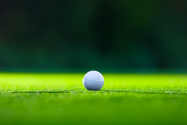 Golf ball on the lawn - Photo, Image