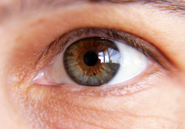 Коричневый женский глаз крупный план без макияжа
 - Фото, изображение
