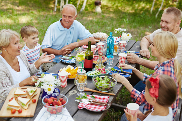 family having picnic - Photo, Image