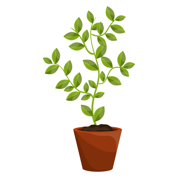 Plant with leaves growing graphic. - Vector, Image