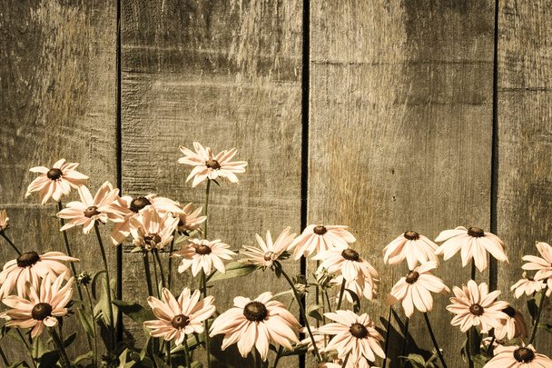 Legno grigio e fiori
 - Foto, immagini