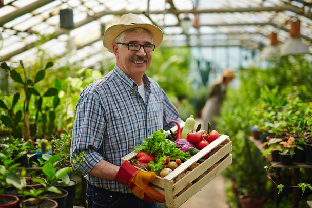 farmer with grown vegetables - Foto, imagen