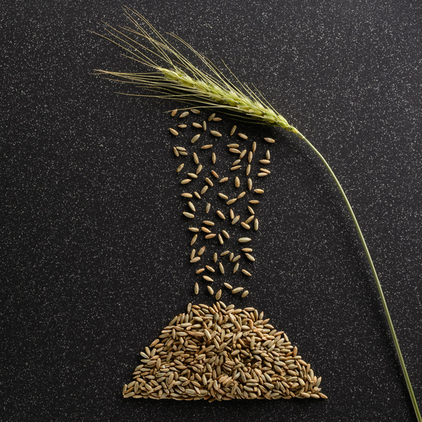 Grains of rye fall out ears - Photo, Image