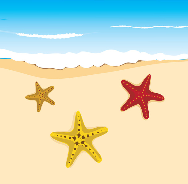 Background beach for design - Vector, Image