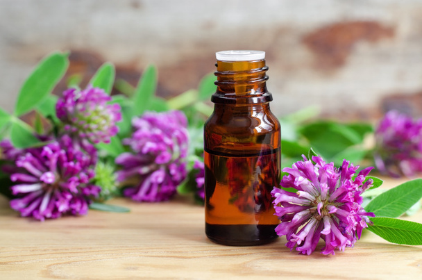 Small bottle of red clover extract (tincture, infusion, oil)  - Photo, Image