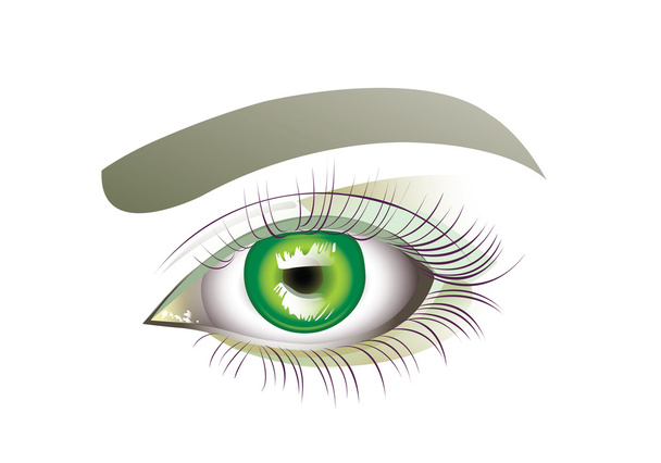 Illustration of an eye  - Vetor, Imagem