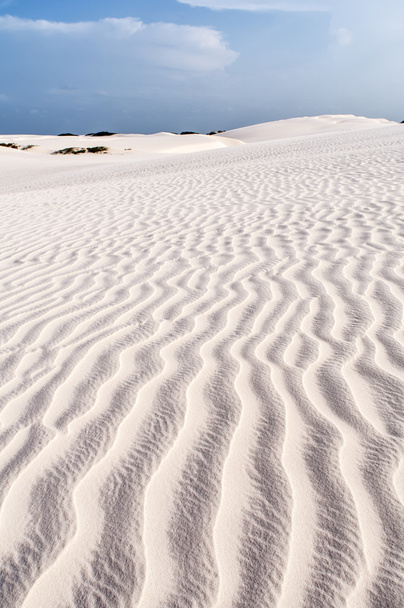 Sand dunes of the Lencois Maranheses in Brazil - 写真・画像