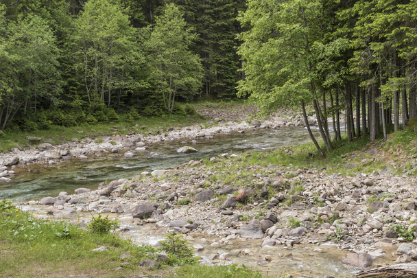 Flusslandschaft in den Bergen - Foto, Bild