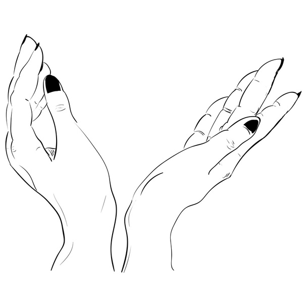 Prachtige vrouwelijke twee paar openen handen vector - Vector, afbeelding