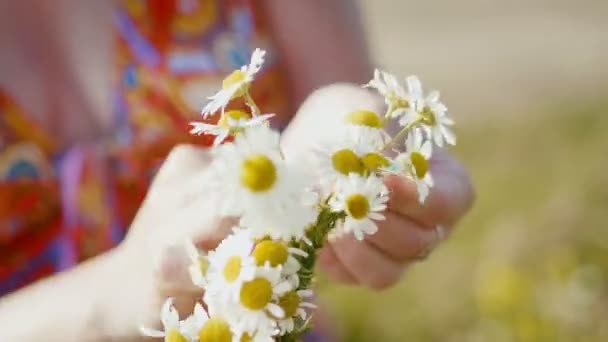 Nainen punaisessa mekossa kerää seppele päivänkakkaroita niitty kukkia, erittäin lähikuva
 - Materiaali, video