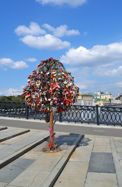 Árbol del Amor, Puente Luzhkov. Moscú, Rusia
 - Foto, imagen