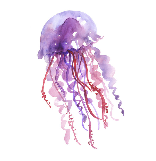 isolated purple jellyfish watercolor illustration. handmade pain - Foto, afbeelding
