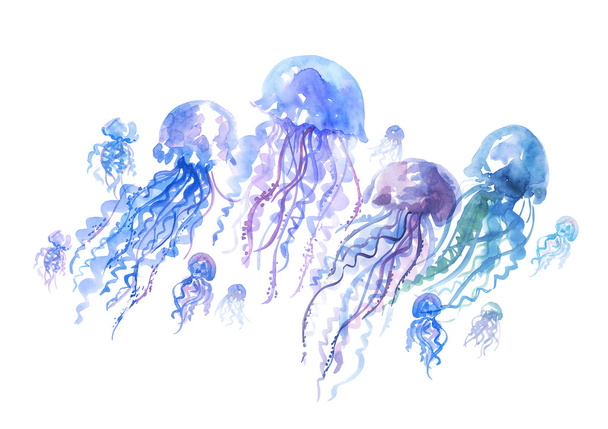 izolované medúzy groop akvarel ilustrace. ruční malování - Fotografie, Obrázek