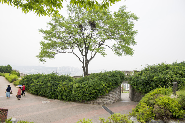 Seoul fortress on naksan mountain - Fotoğraf, Görsel