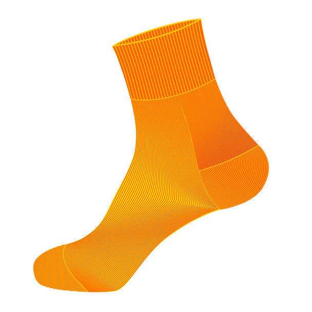 socks in vector on white background - Vector, Image