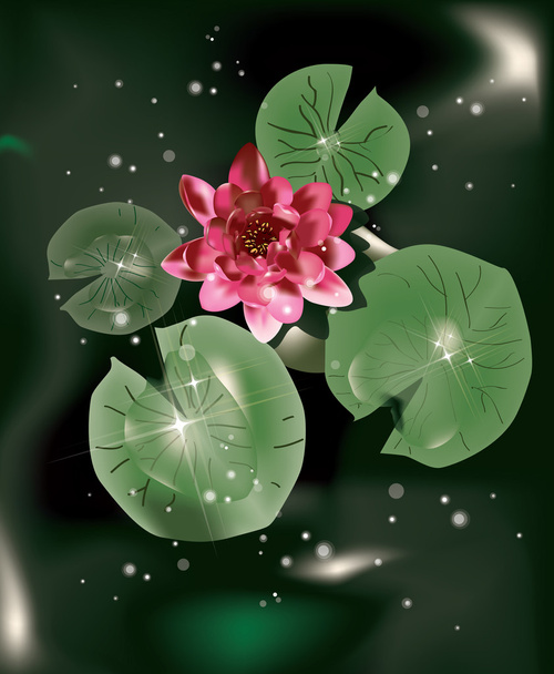Water lily and leaves - Vector, Image